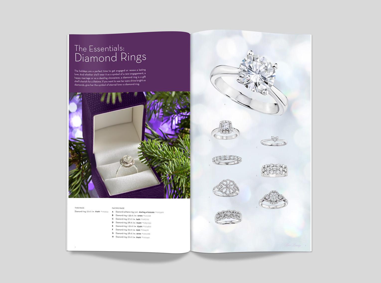Ben Bridge: Holiday Catalog 2013