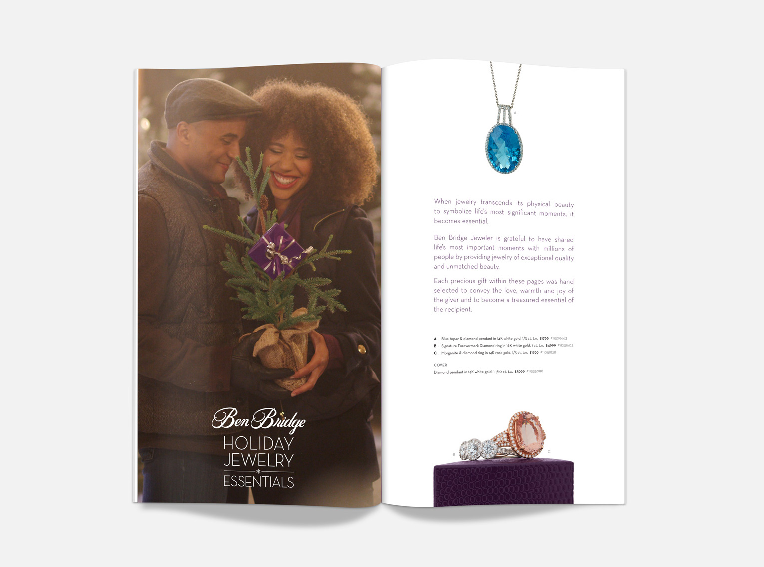 Ben Bridge: Holiday Catalog 2014