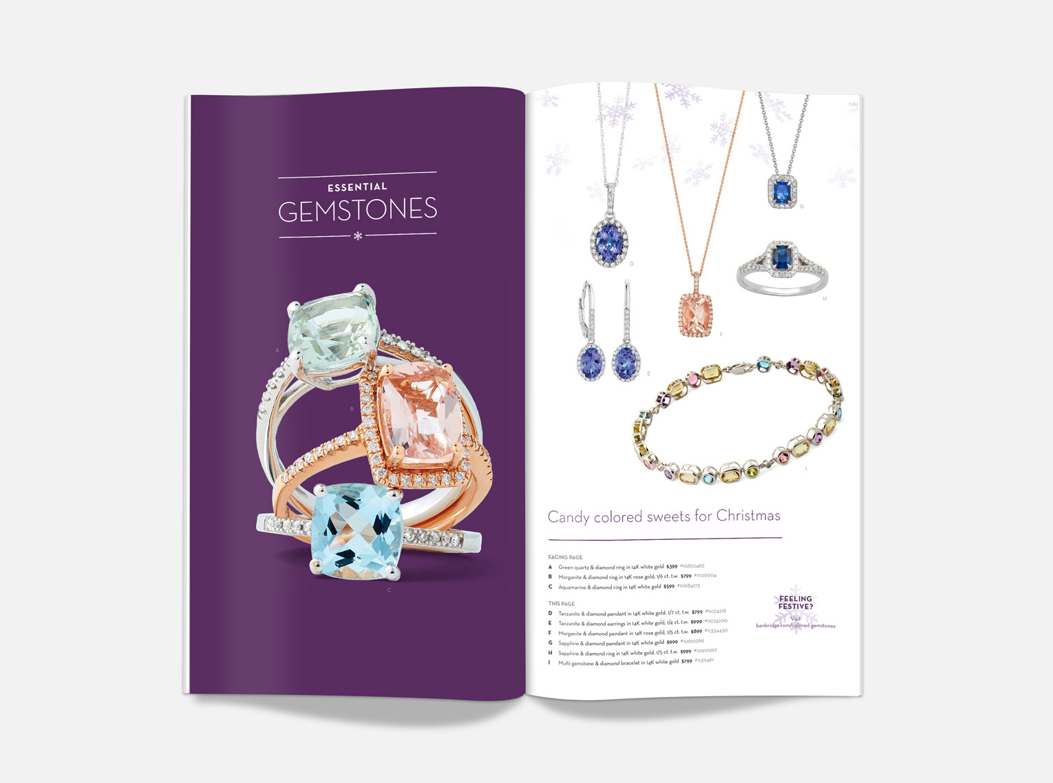 Ben Bridge: Holiday Catalog 2014