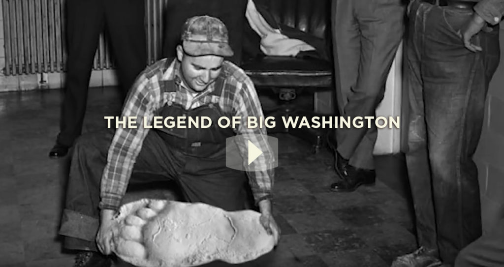 WSF_BigWA_legend video1